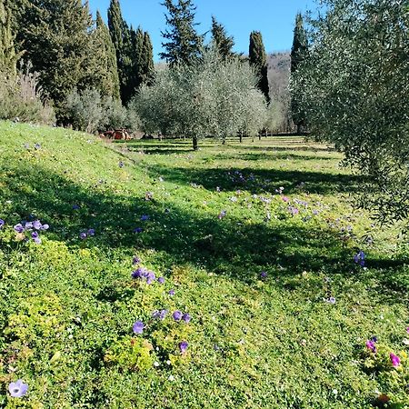 Agriturismo Natura E Salute Сан-Джиминьяно Экстерьер фото