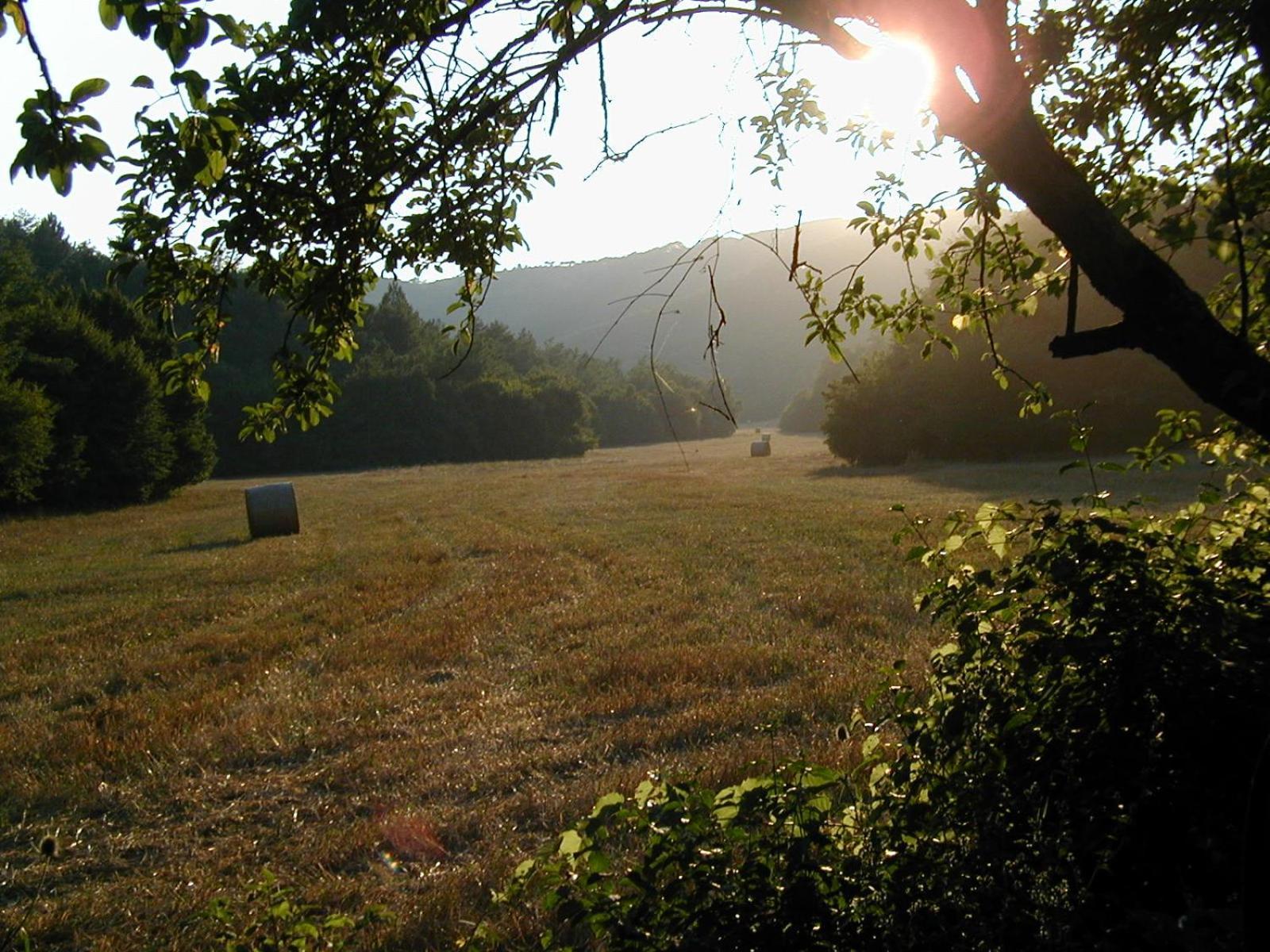 Agriturismo Natura E Salute Сан-Джиминьяно Экстерьер фото